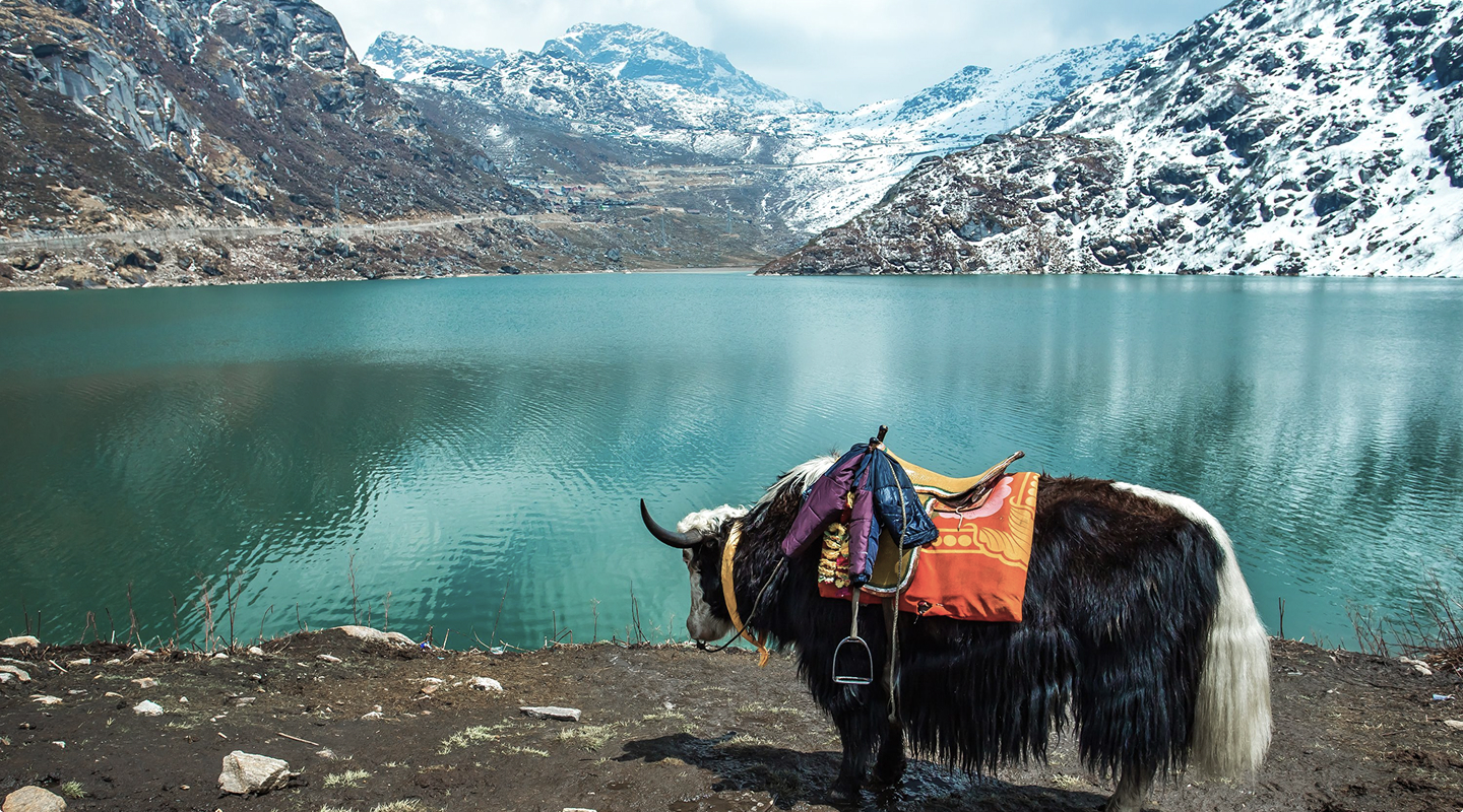 Tranqulity-Himal