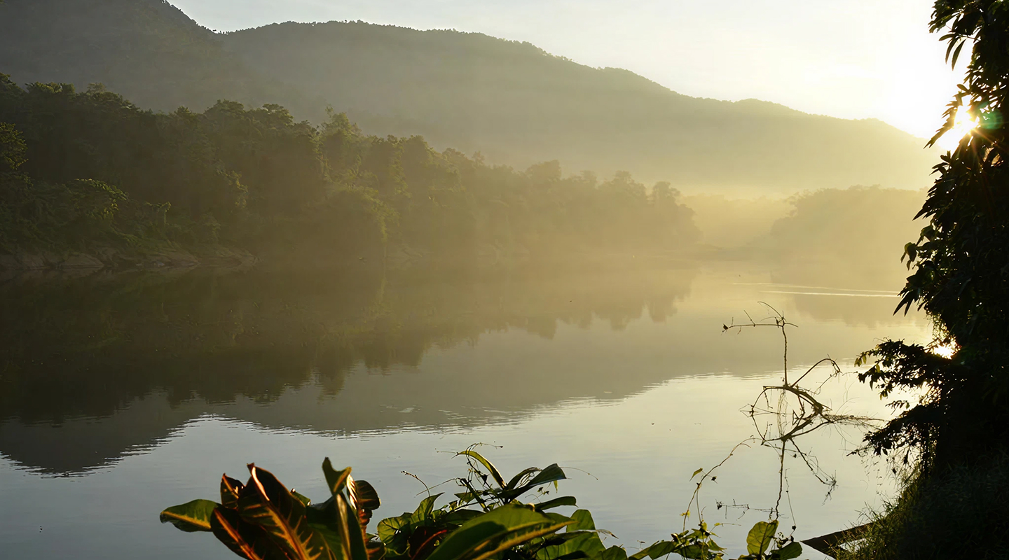 Kerala Spice Route Immersion