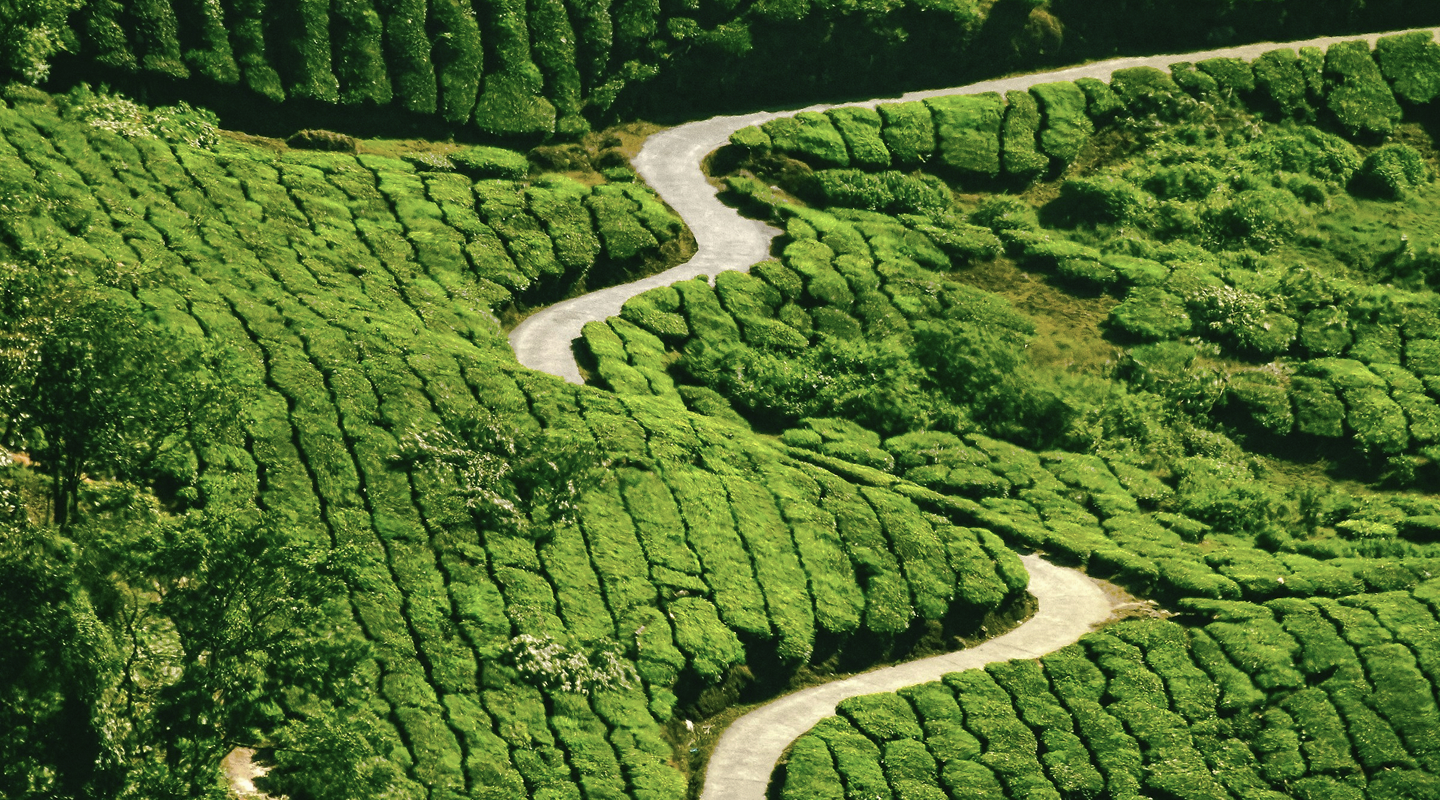 Kerala Spice Route Immersion